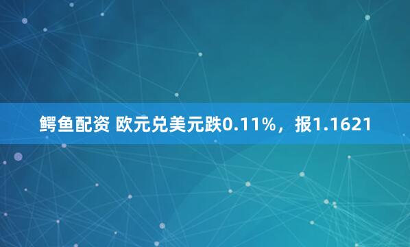 鳄鱼配资 欧元兑美元跌0.11%,报1.1621