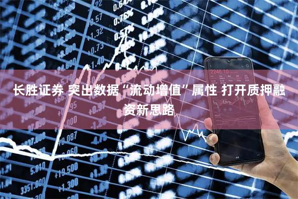 长胜证券 突出数据“流动增值”属性 打开质押融资新思路
