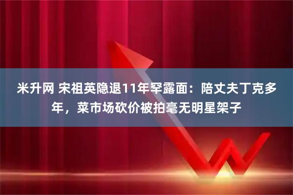 米升网 宋祖英隐退11年罕露面：陪丈夫丁克多年，菜市场砍价被拍毫无明星架子