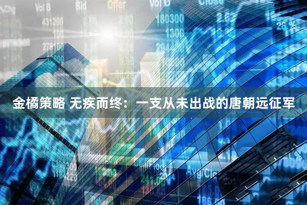 金橘策略 无疾而终：一支从未出战的唐朝远征军