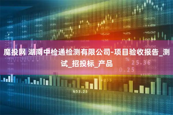 魔投网 湖南中检通检测有限公司-项目验收报告_测试_招投标_产品